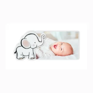 IBIS-Marco-Mod.-Ulisse-1