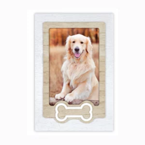 Ibis-Marco-Mod.-Osso-10x15-1