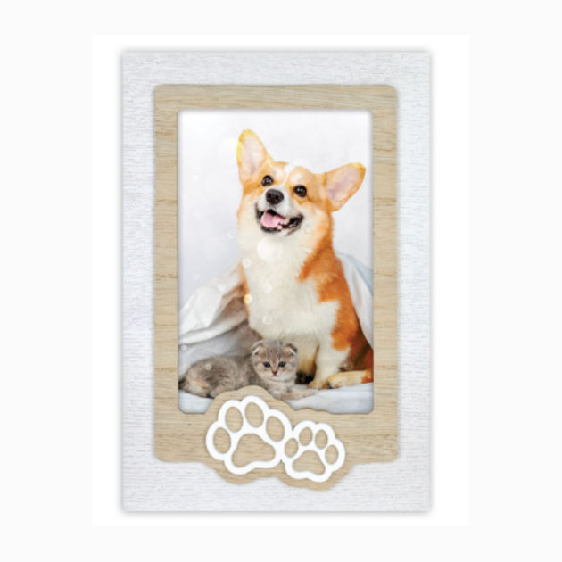 Ibis-Marco-Mod.-Zampa-10x15-1